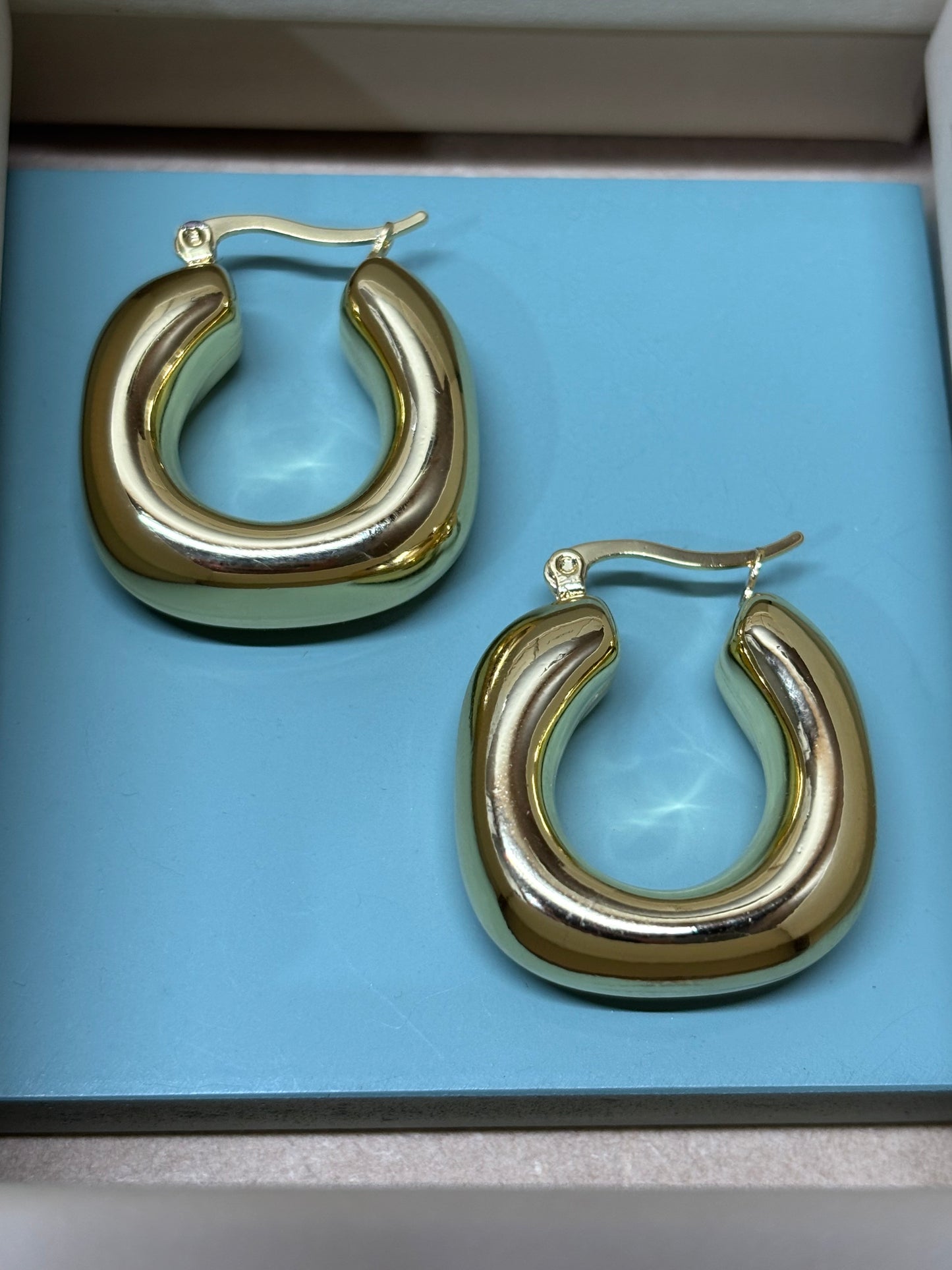 Duo Hoops